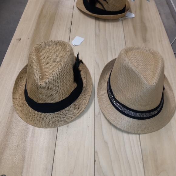 Fedoras - Picture 2 of 3